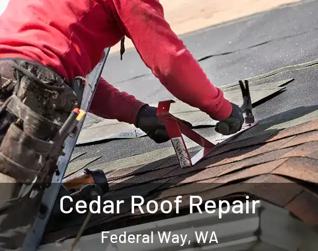  Cedar Roof Repair Federal Way, WA