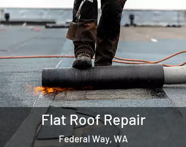  Flat Roof Repair Federal Way, WA
