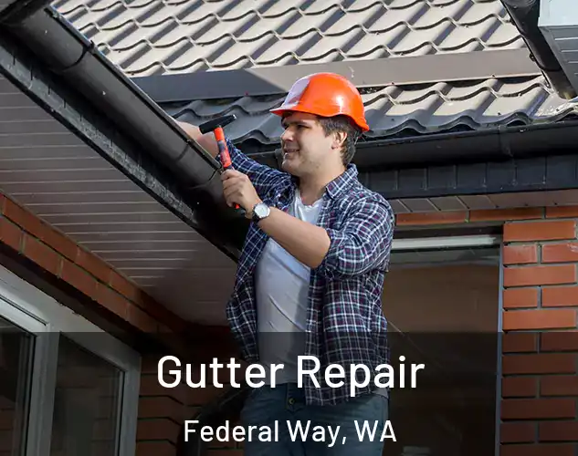  Gutter Repair Federal Way, WA