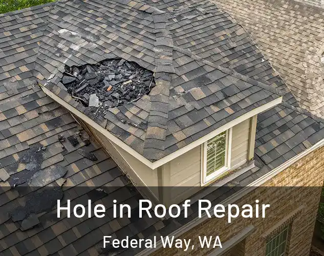  Hole in Roof Repair Federal Way, WA