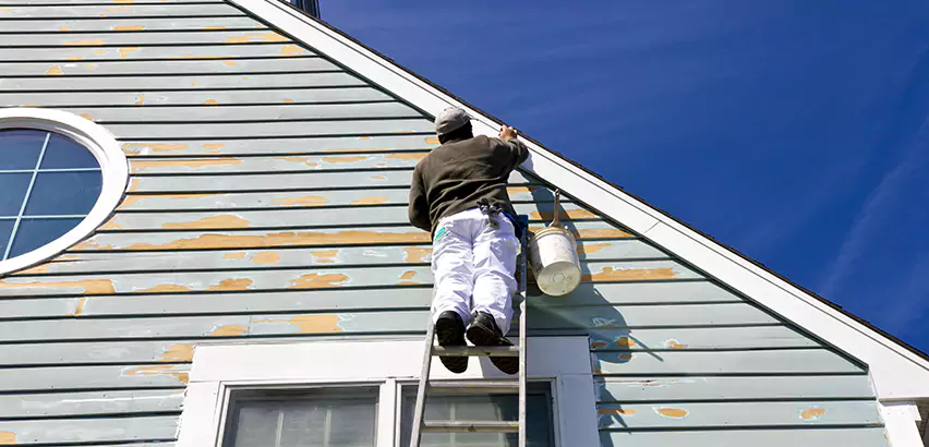 Professional Roof and Siding Repair Services in Federal Way, WA