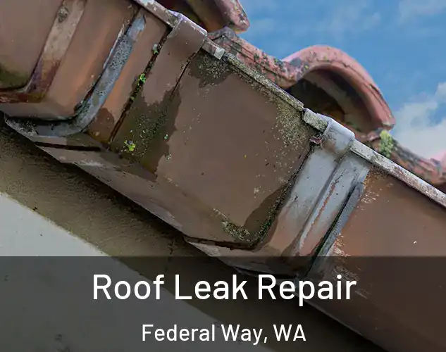  Roof Leak Repair Federal Way, WA