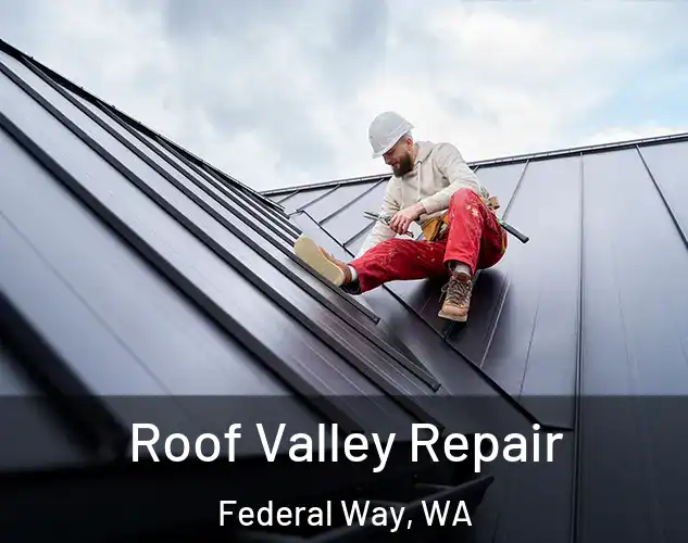  Roof Valley Repair Federal Way, WA