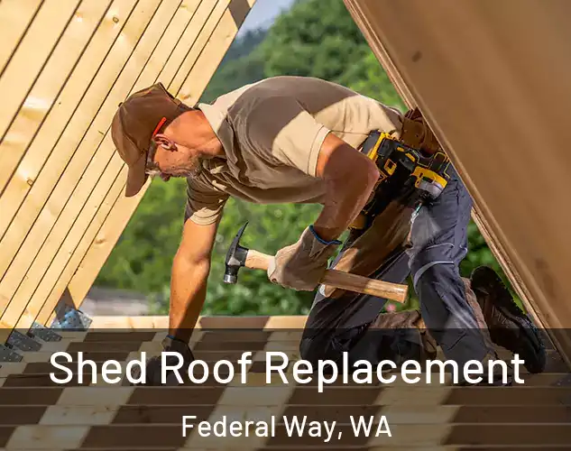  Shed Roof Replacement Federal Way, WA