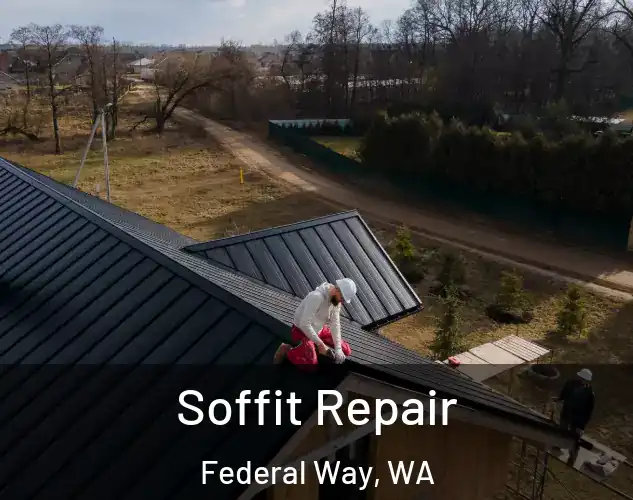  Soffit Repair Federal Way, WA